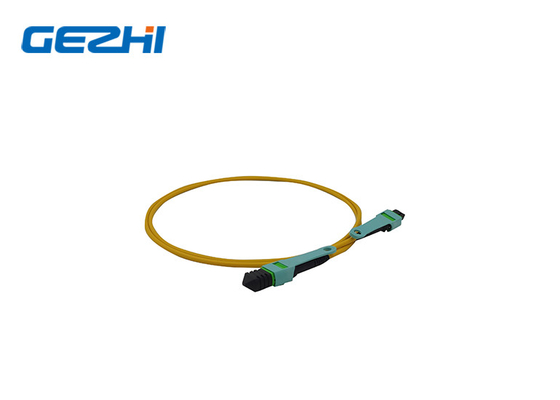 Van het de Vezel Optisch Flard van MPO OM3 Koord 12 de Kabel Lage PDL van de Vezelmpo Boomstam
