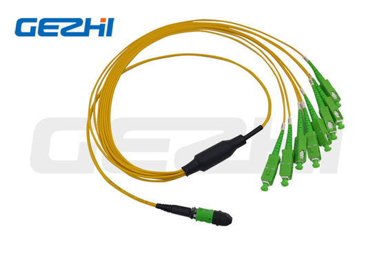 MTP/MPO boomstam Cabe 12 het Koord van het de Optische Vezelflard van cores/24cores/48 cores/72cores/96 cores/144cores OS2