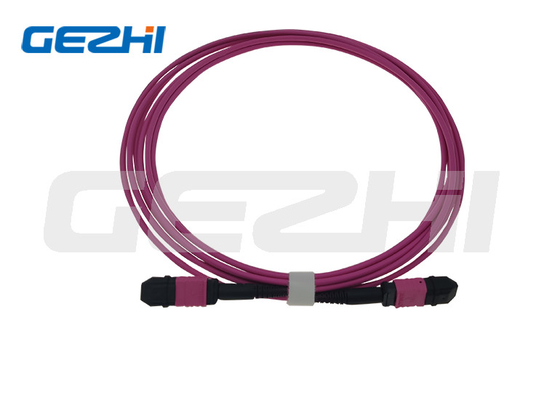12 Fibre LC Duplex 1x6 naar MTP MPO kabels MPO OM4 patch cord